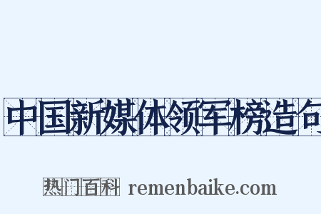 中国新媒体领军榜造句是什么意思的图片